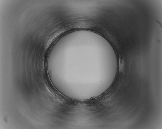 X0000103420531200809261709