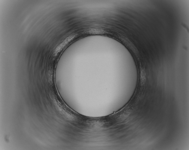 X0000103420533200809261709