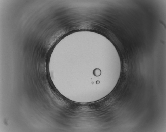 X0000103420534200809261709