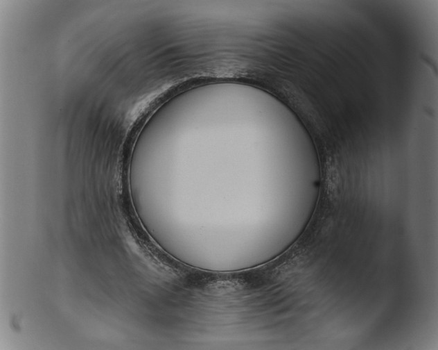 X0000103420536200809261709