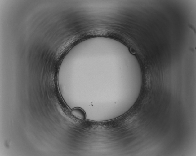 X0000103420538200809261709