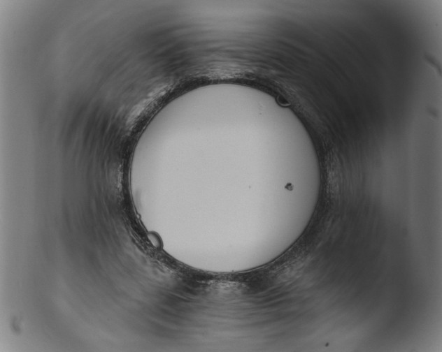 X0000103420539200809261709