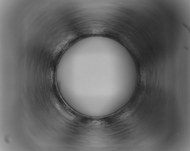 X0000103420542200809261709