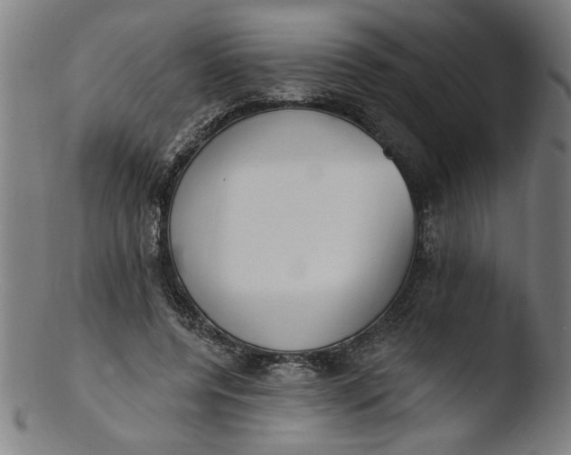 X0000103420544200809261709