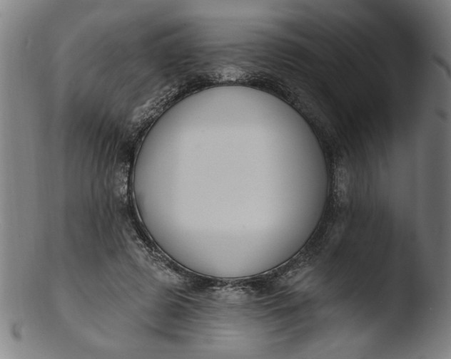 X0000103420545200809261709