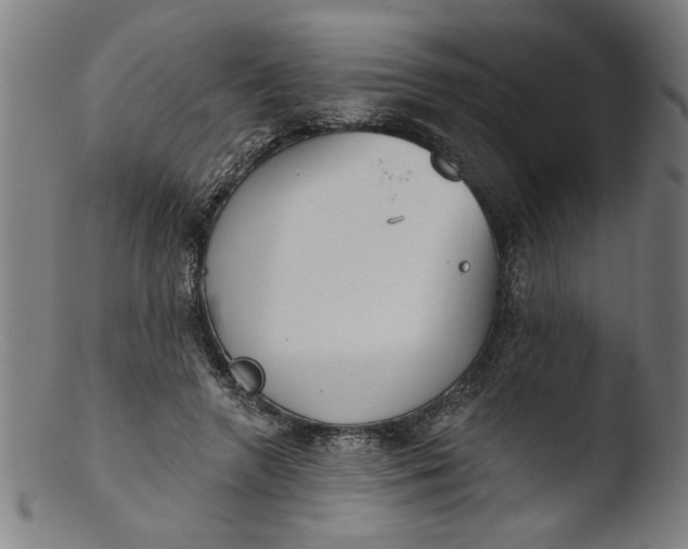 X0000103420546200809261709