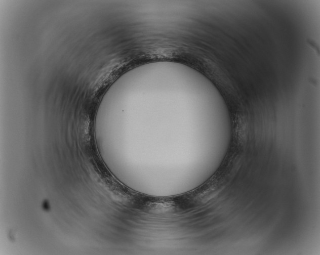 X0000103420548200809261709