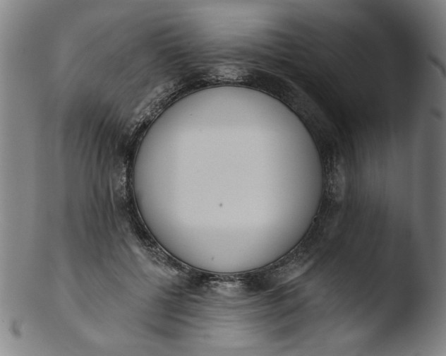 X0000103420552200809261709