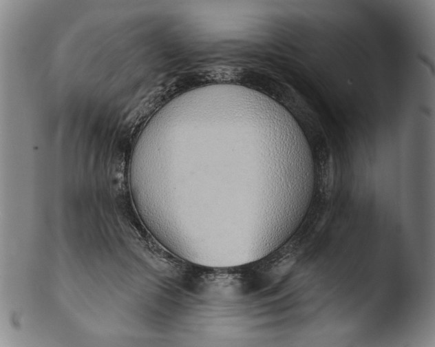 X0000103420553200809261709