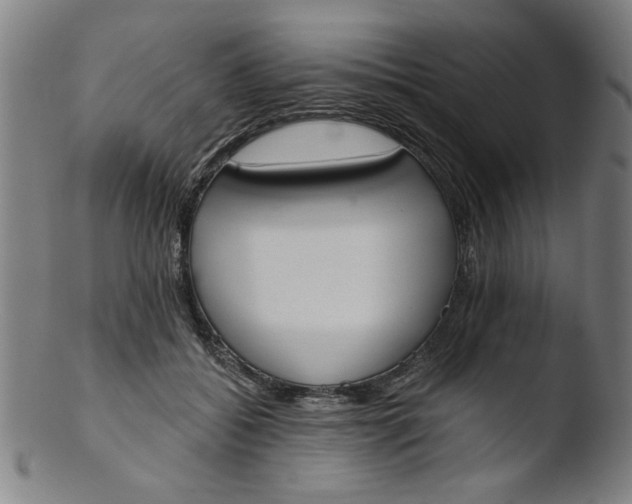 X0000103420556200809261709