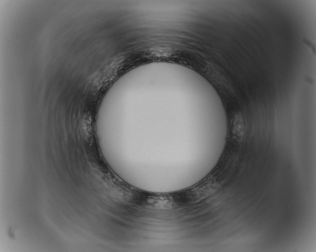 X0000103420559200809261709