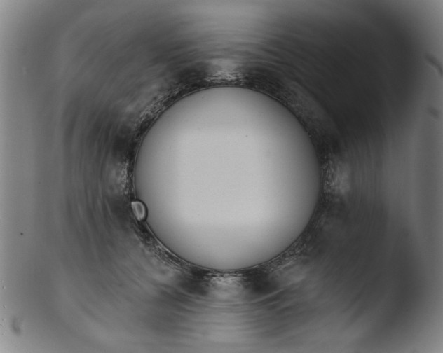 X0000103420560200809261709