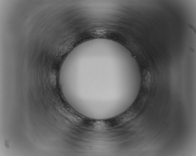 X0000103420562200809261710