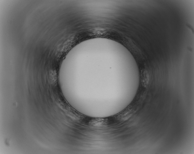 X0000103420563200809261710