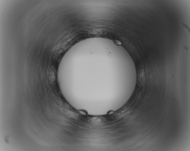 X0000103420566200809261710