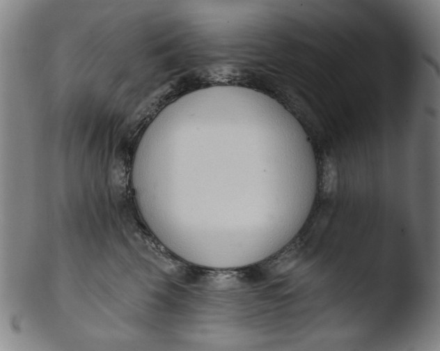 X0000103420569200809261710