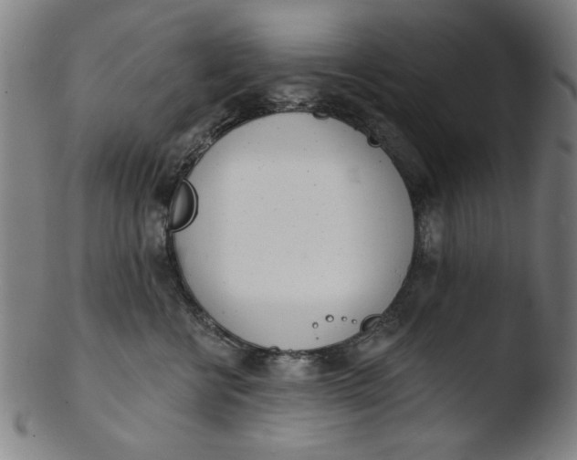 X0000103420570200809261710