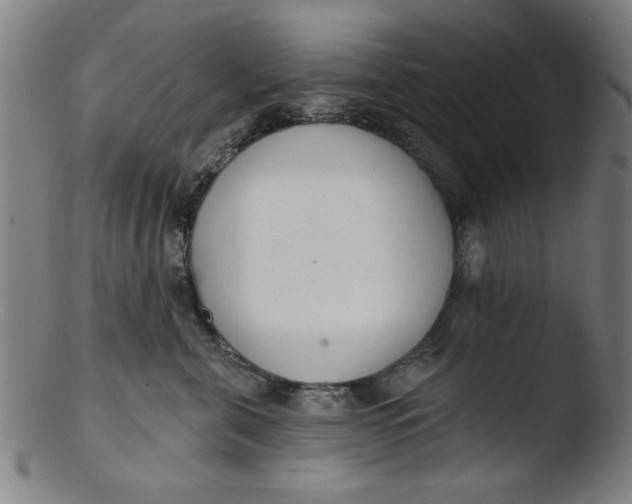 X0000103420571200809261710