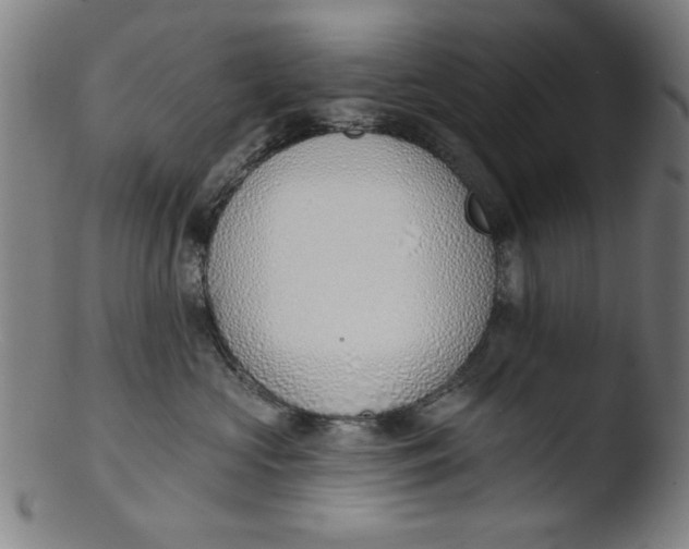 X0000103420573200809261710