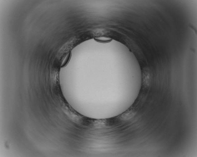 X0000103420574200809261710