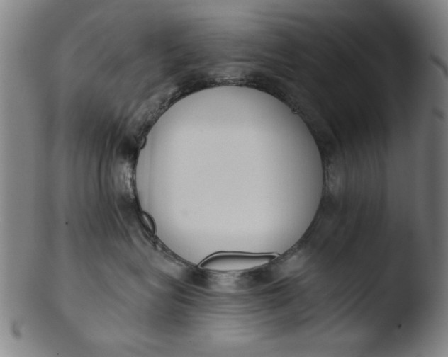 X0000103420575200809261710