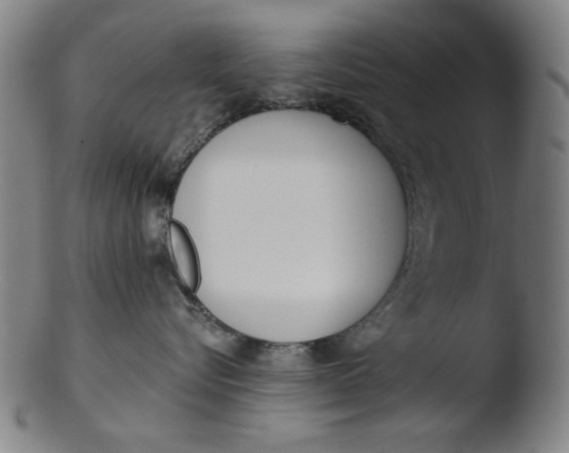 X0000103420576200809261710