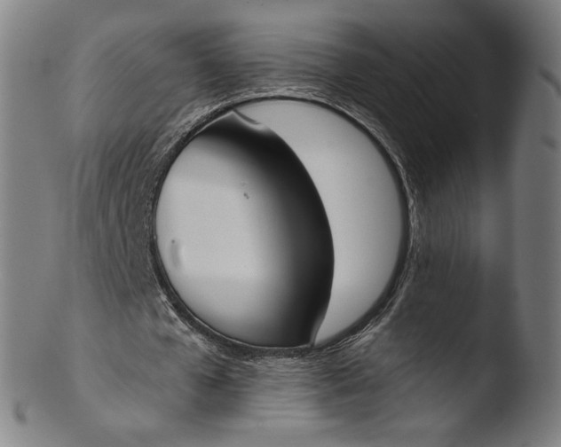 X0000103420577200809261709