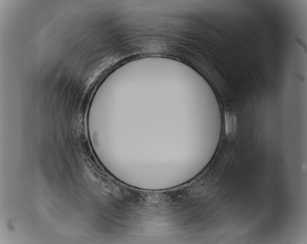 X0000103420579200809261709