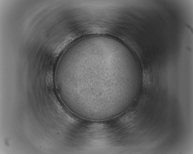 X0000103420581200809261709