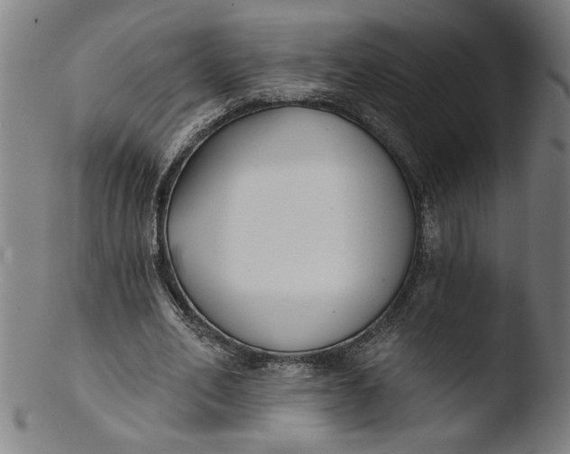 X0000103420582200809261709