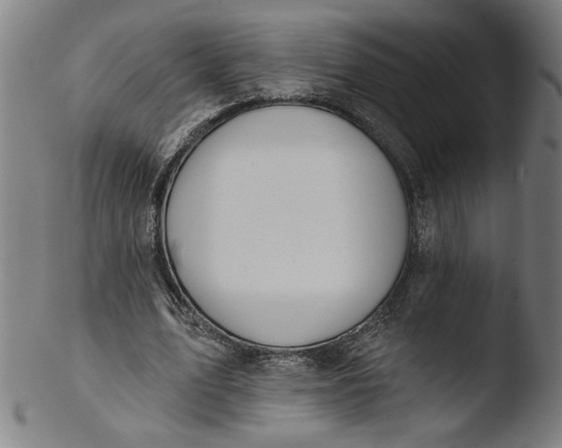 X0000103420583200809261709