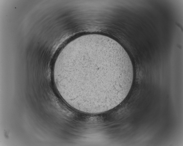 X0000103420584200809261709