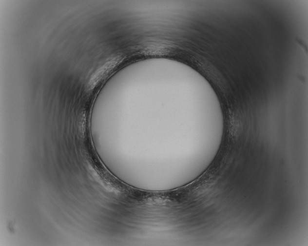 X0000103420586200809261709