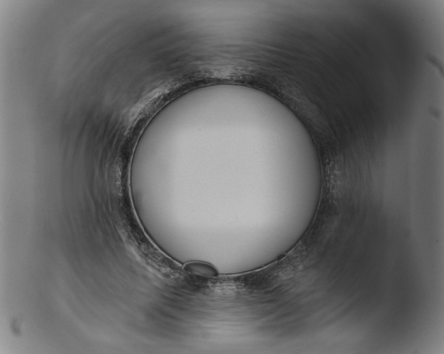 X0000103420587200809261709