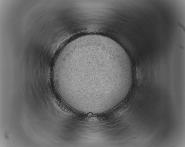 X0000103420588200809261709