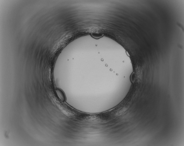 X0000103420589200809261709