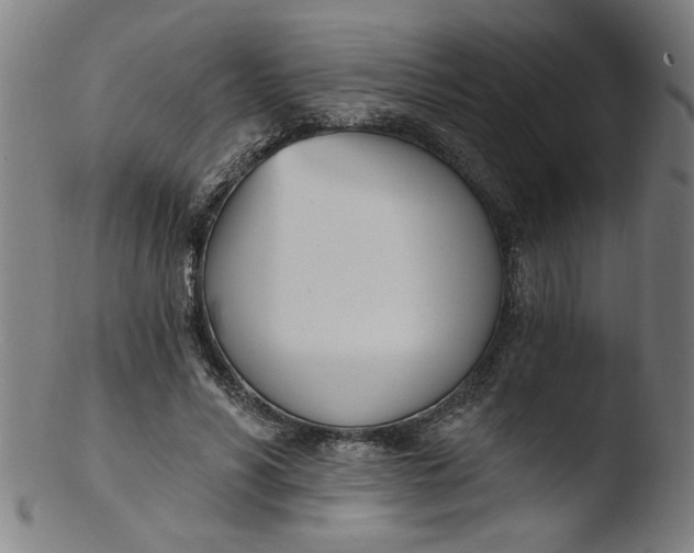 X0000103420590200809261709