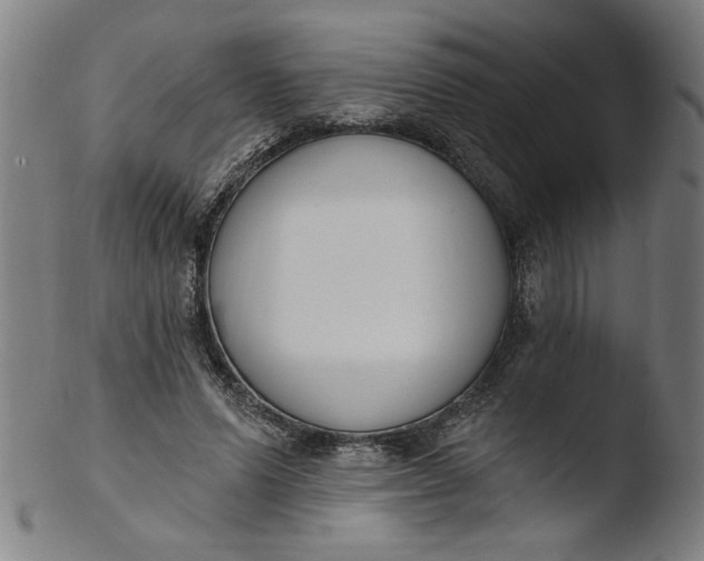 X0000103420591200809261709