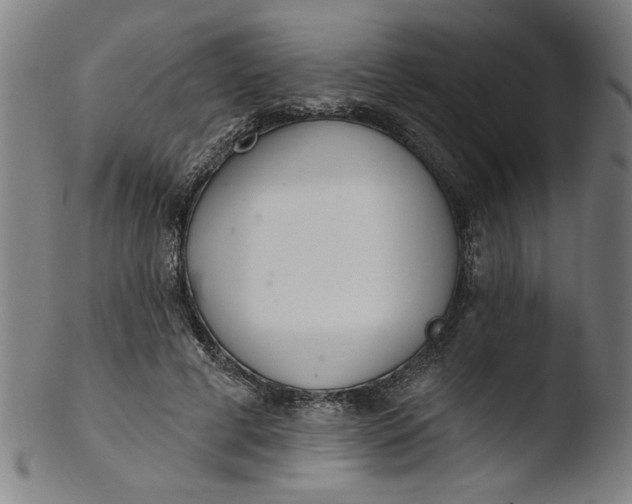 X0000103420593200809261709