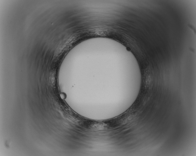 X0000103420595200809261709