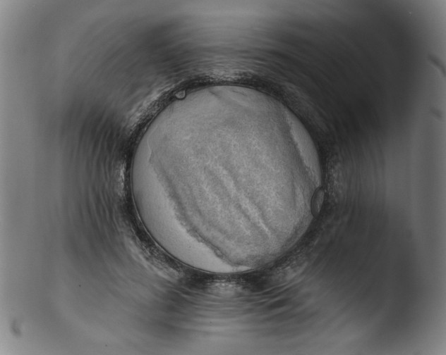 X0000103420596200809261709