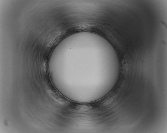 X0000103420597200809261709