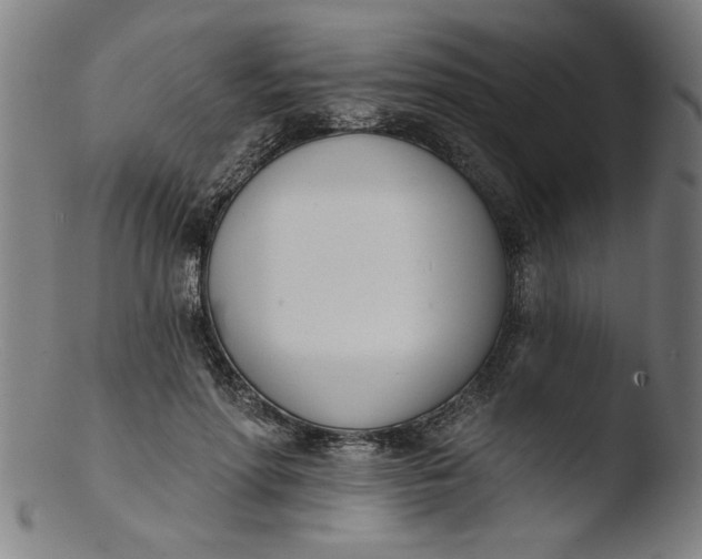 X0000103420598200809261709