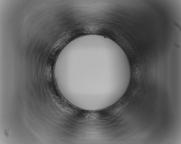 X0000103420599200809261709