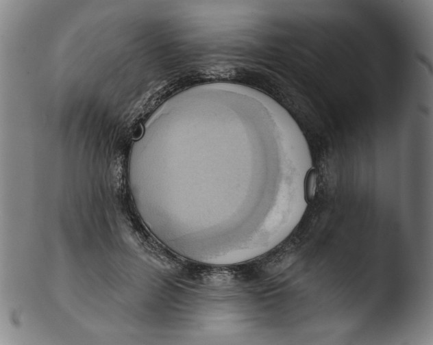 X0000103420600200809261709