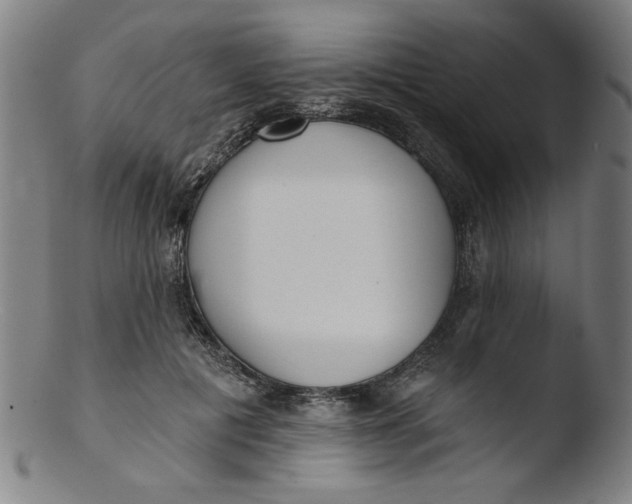 X0000103420601200809261709