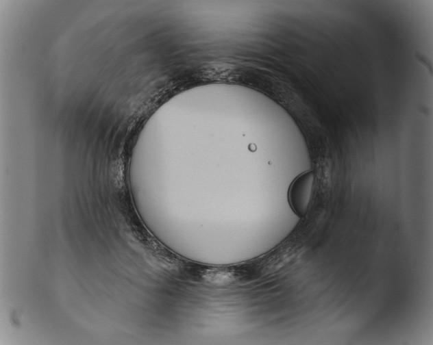 X0000103420602200809261709