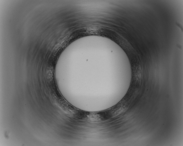 X0000103420603200809261709