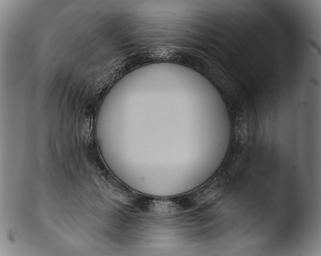 X0000103420605200809261709