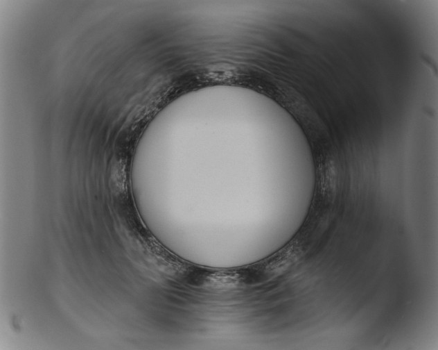 X0000103420606200809261709